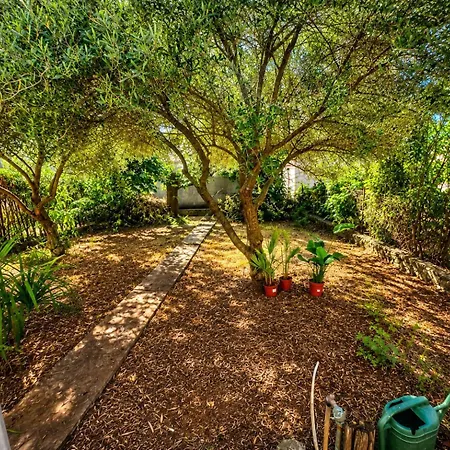 Central Garden Studio, Walk To Old Town Appartement *